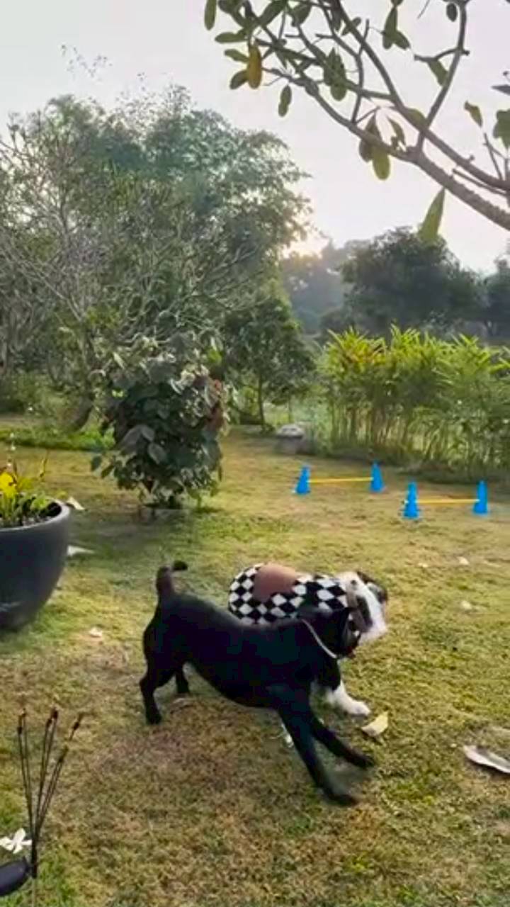 แอน ทองประสม