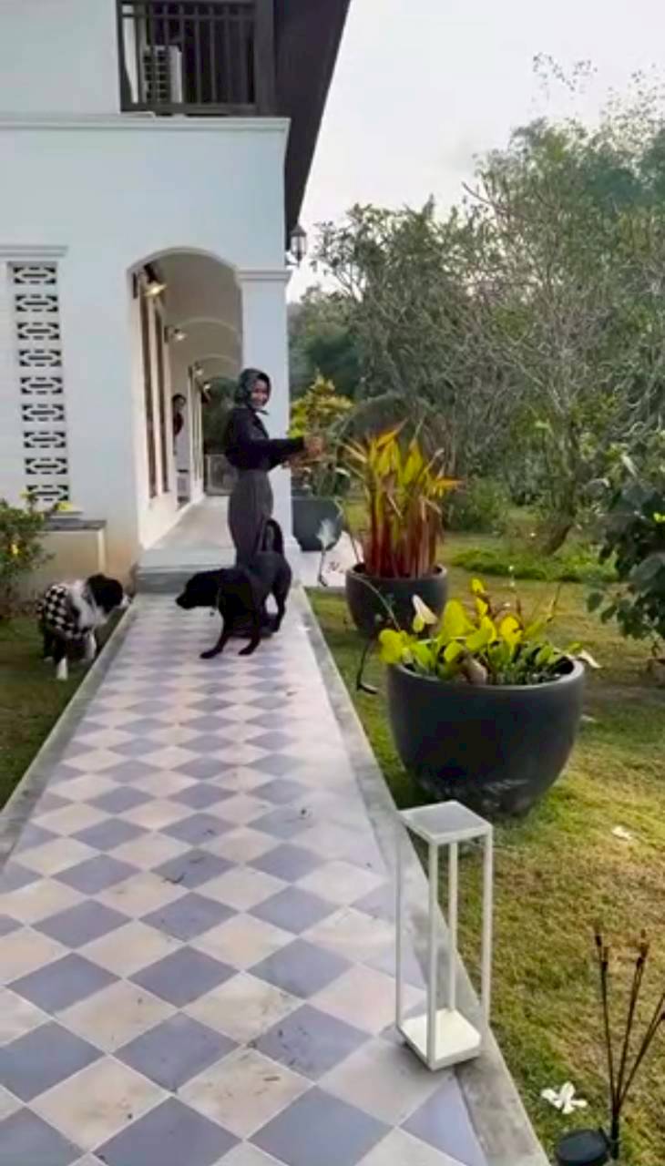 แอน ทองประสม