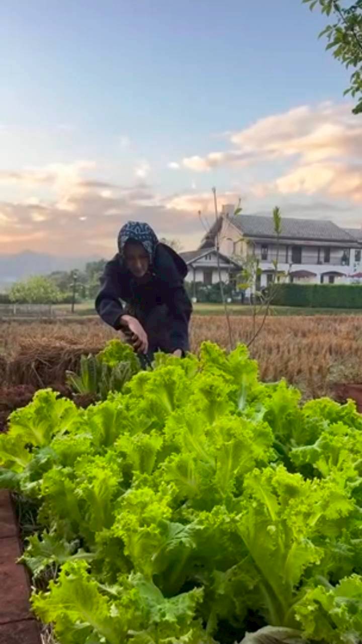 แอน ทองประสม