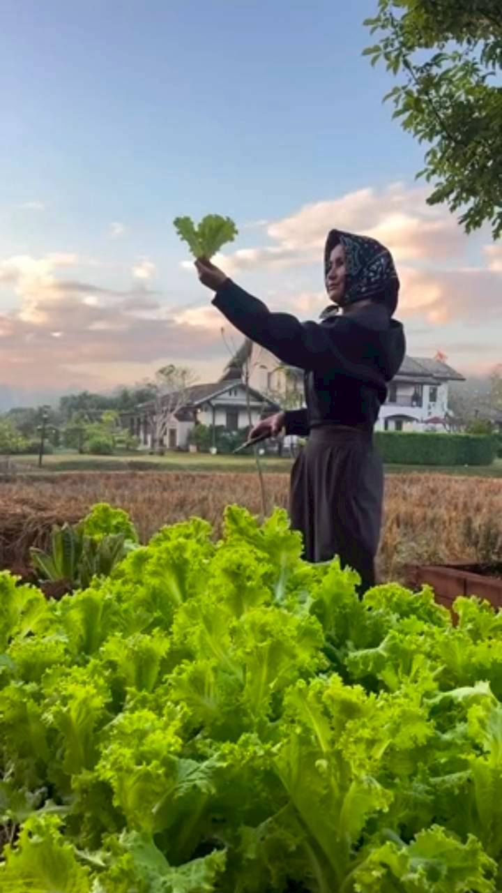 แอน ทองประสม