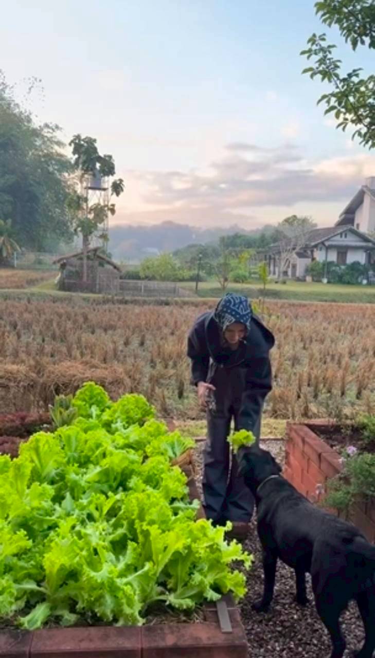 แอน ทองประสม