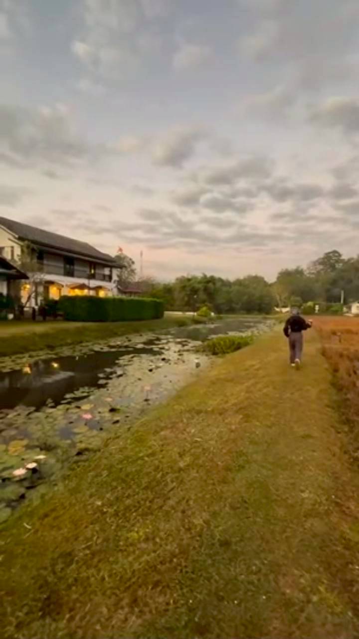 แอน ทองประสม