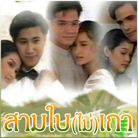 สามใบไม่เถา