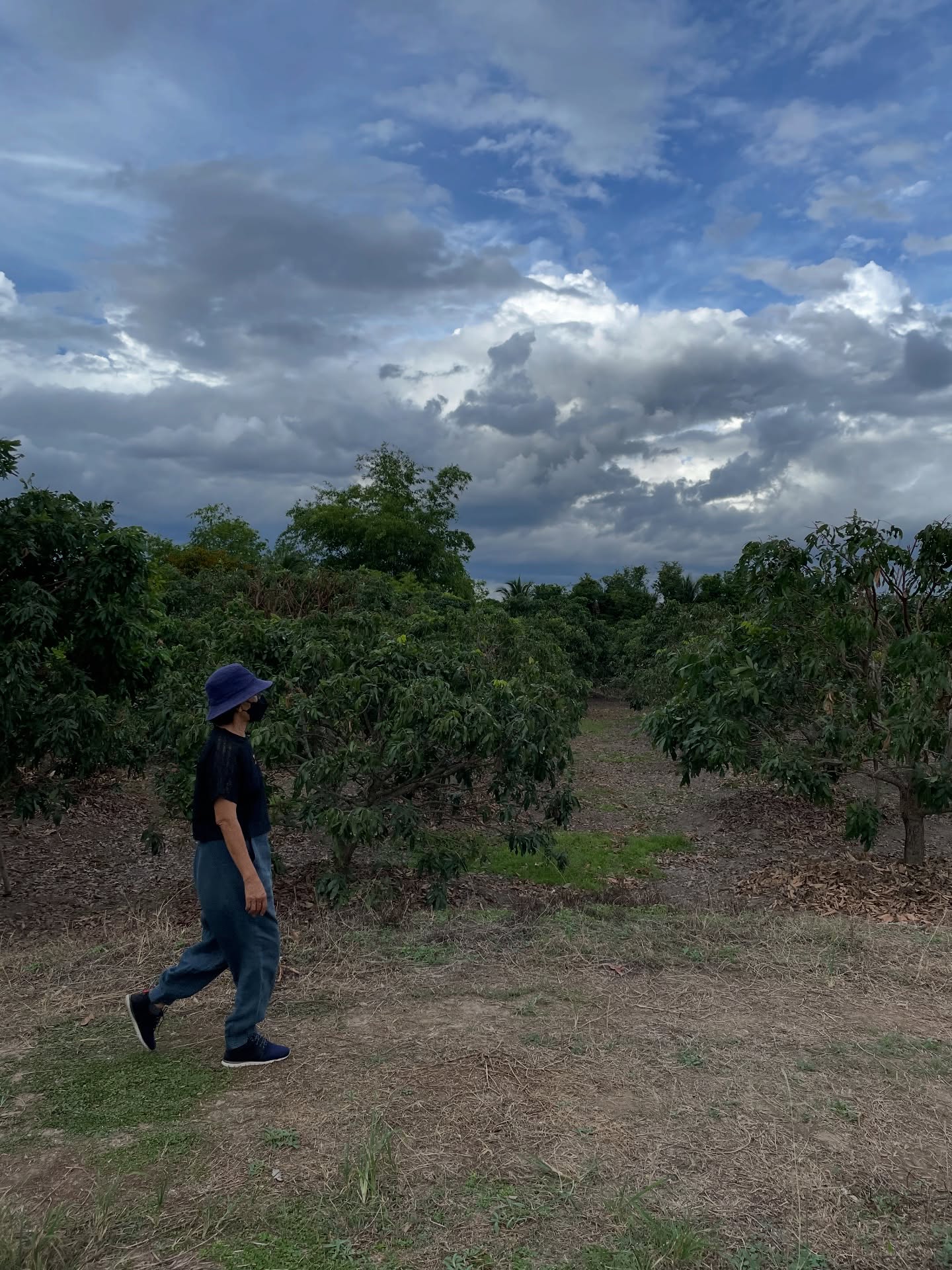 ซาร่า โฮเลอร์