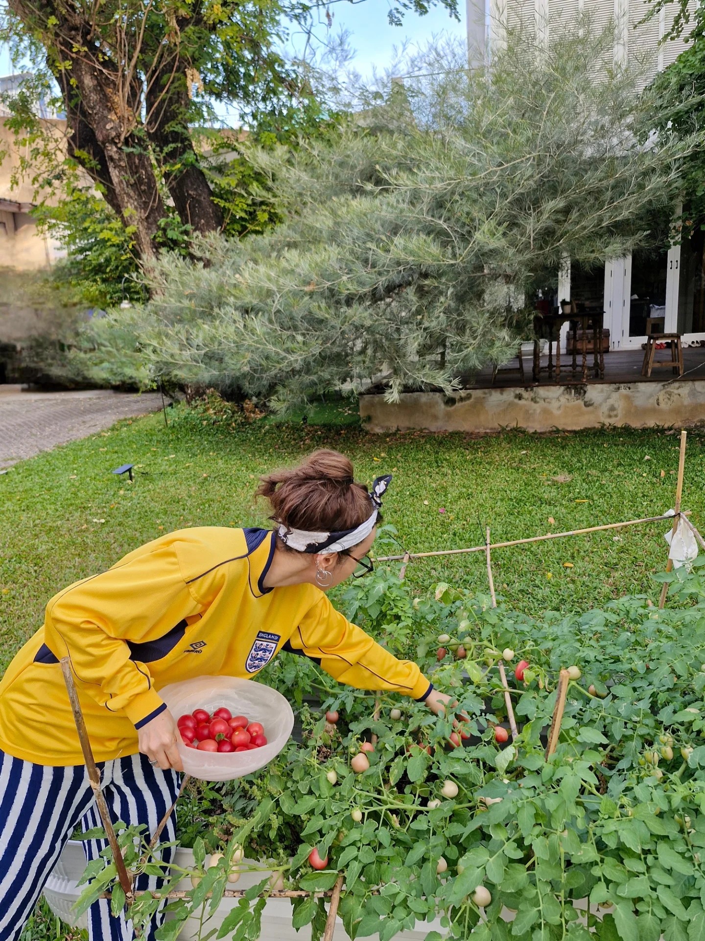 ปาล์มมี่