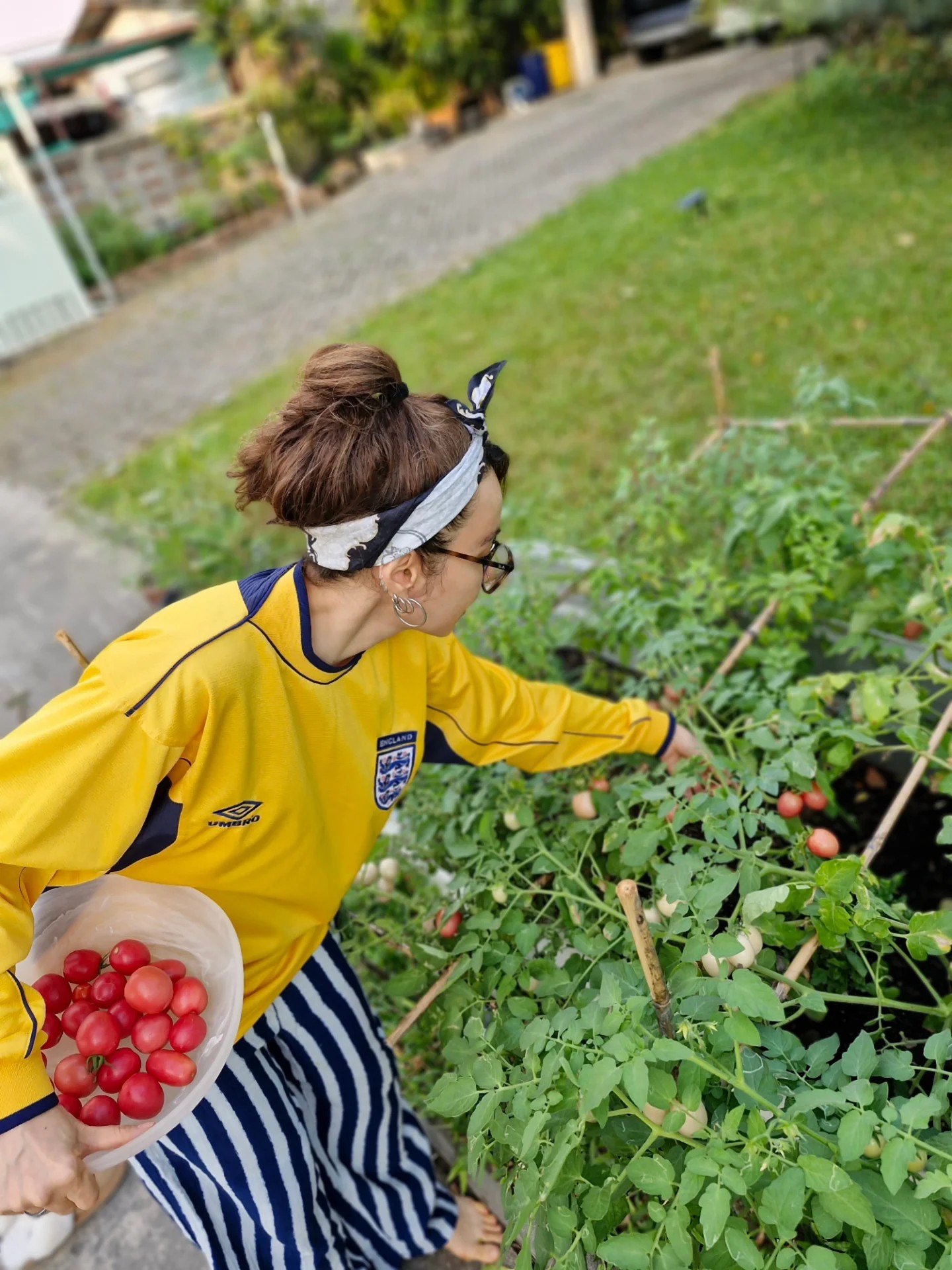 ปาล์มมี่