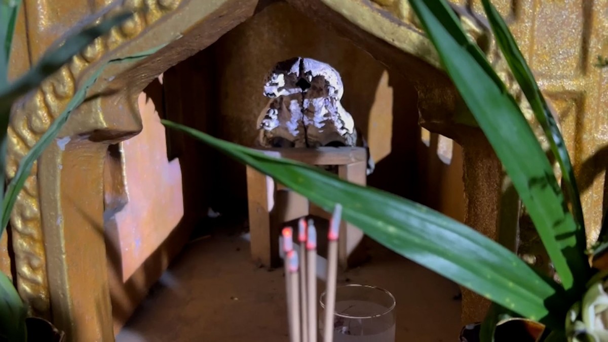 ให้โชค  พ่อปู่สม-สรวง ศีรษะจระเข้ โบราณ อายุกว่า 133 ปี