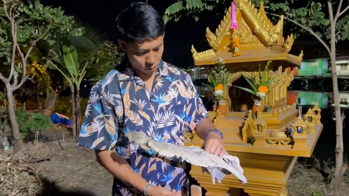 ให้โชค  พ่อปู่สม-สรวง ศีรษะจระเข้ โบราณ อายุกว่า 133 ปี