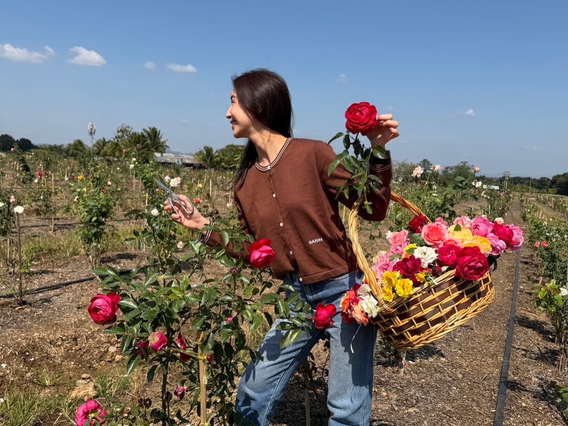 ปู่ไพวงษ์ เตชะณรงค์