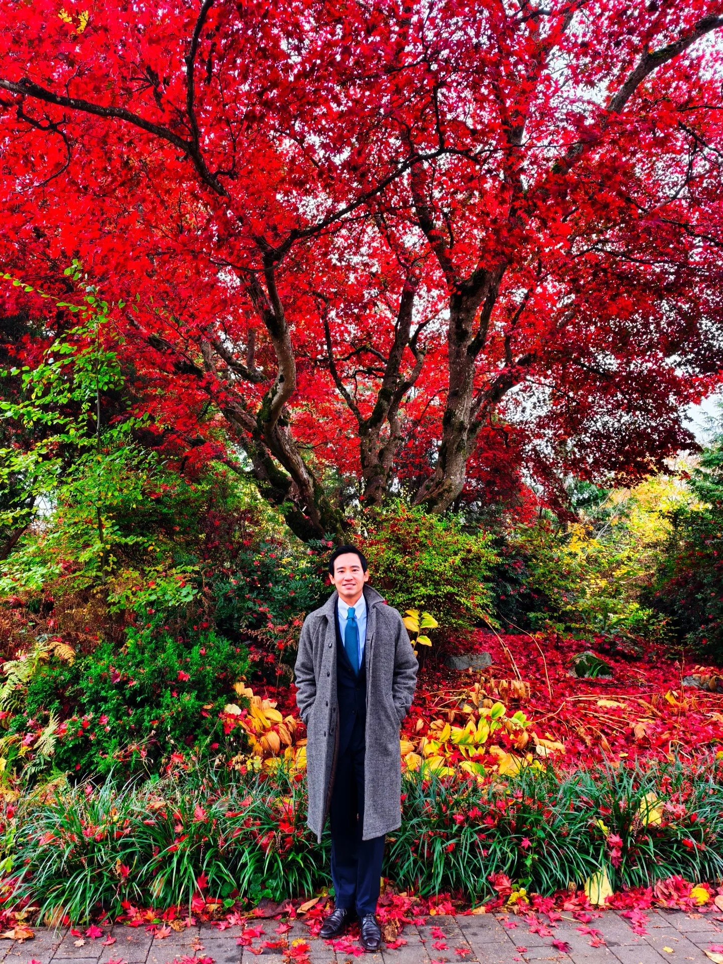 ทิม พิธา