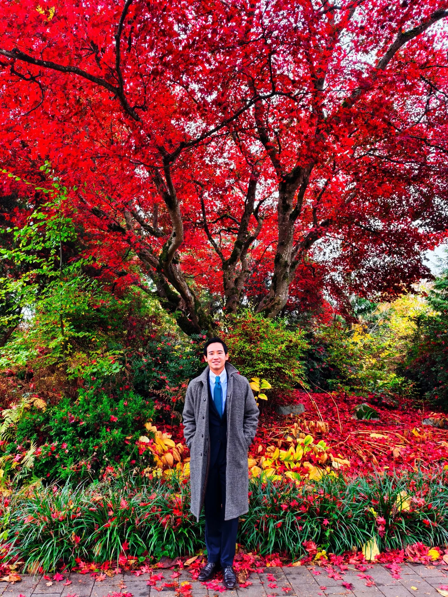 ทิม พิธา