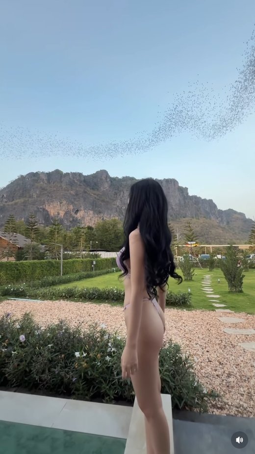 เบียร์ เดอะวอยซ์