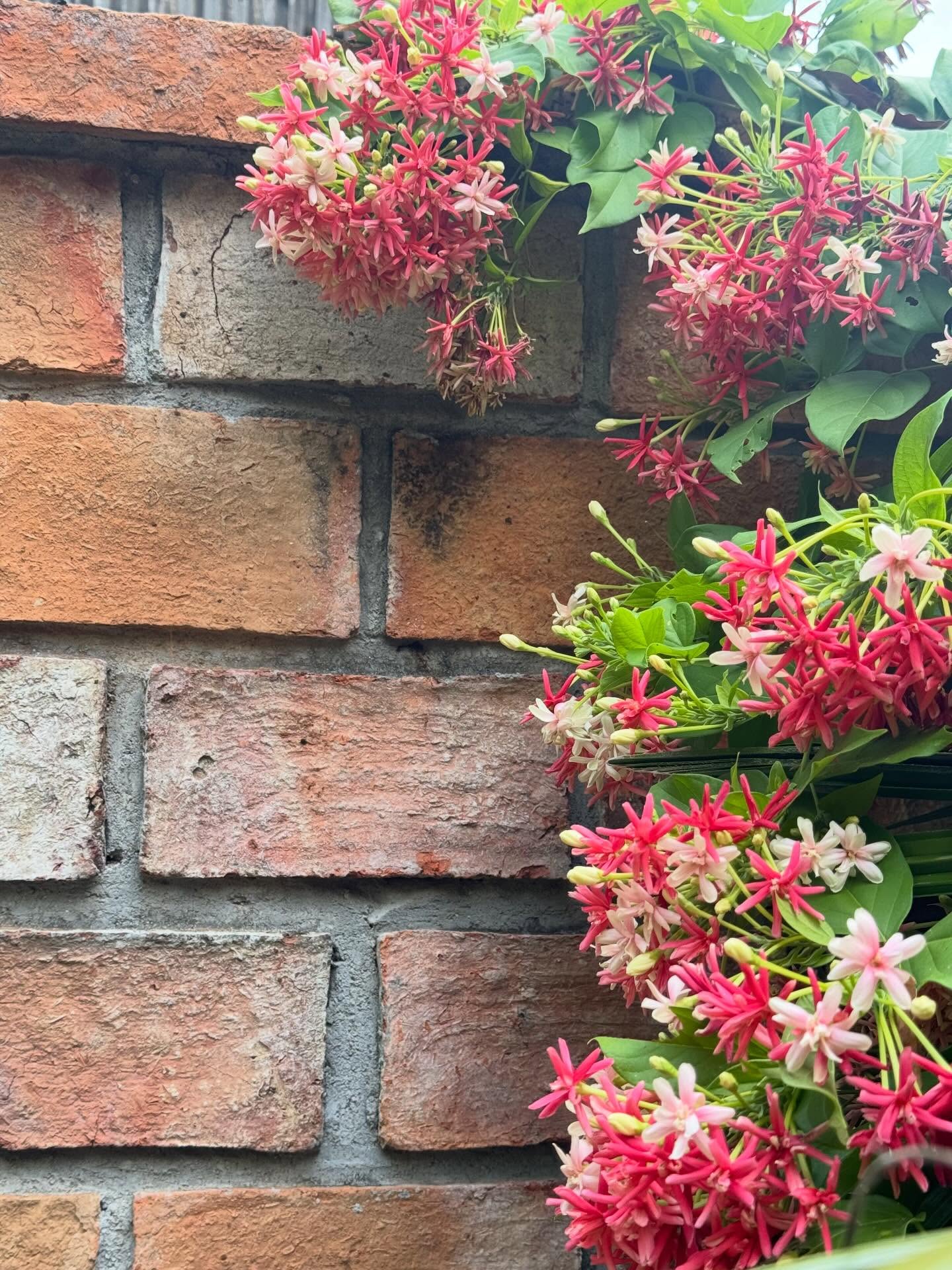 นก สินจัย