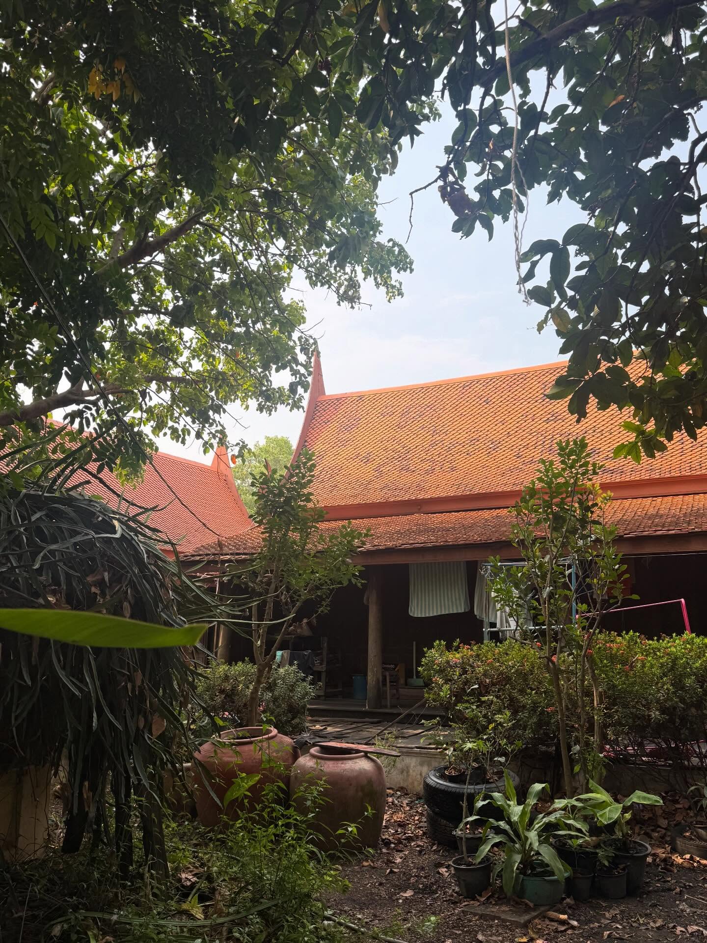 นก สินจัย