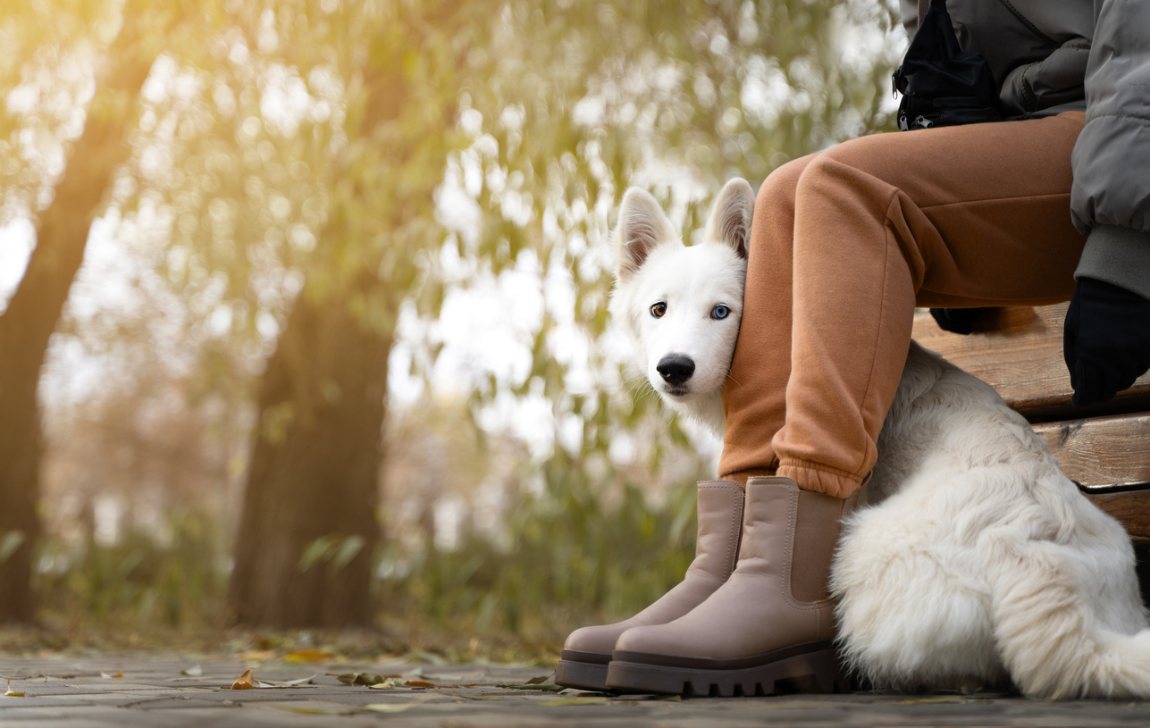 หมางอนได้ไหม อาการเป็นยังไง