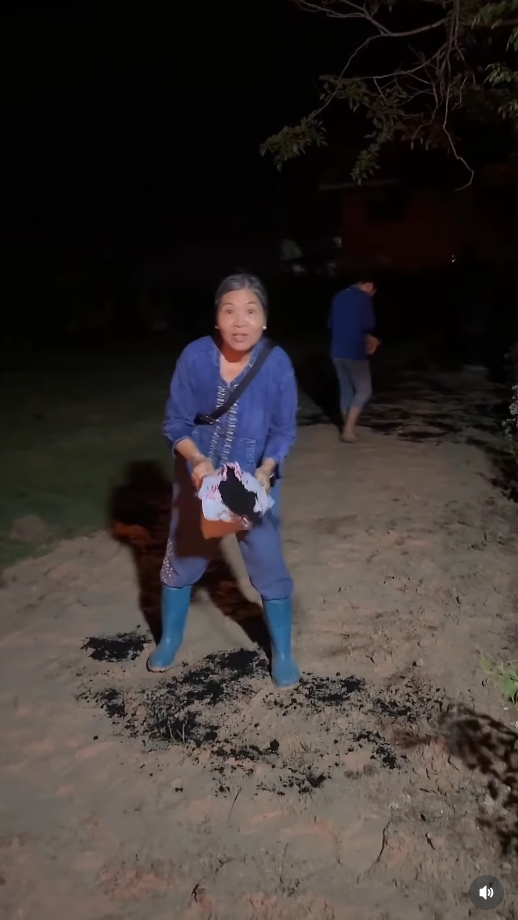 ณเดชน์ ญาญ่า