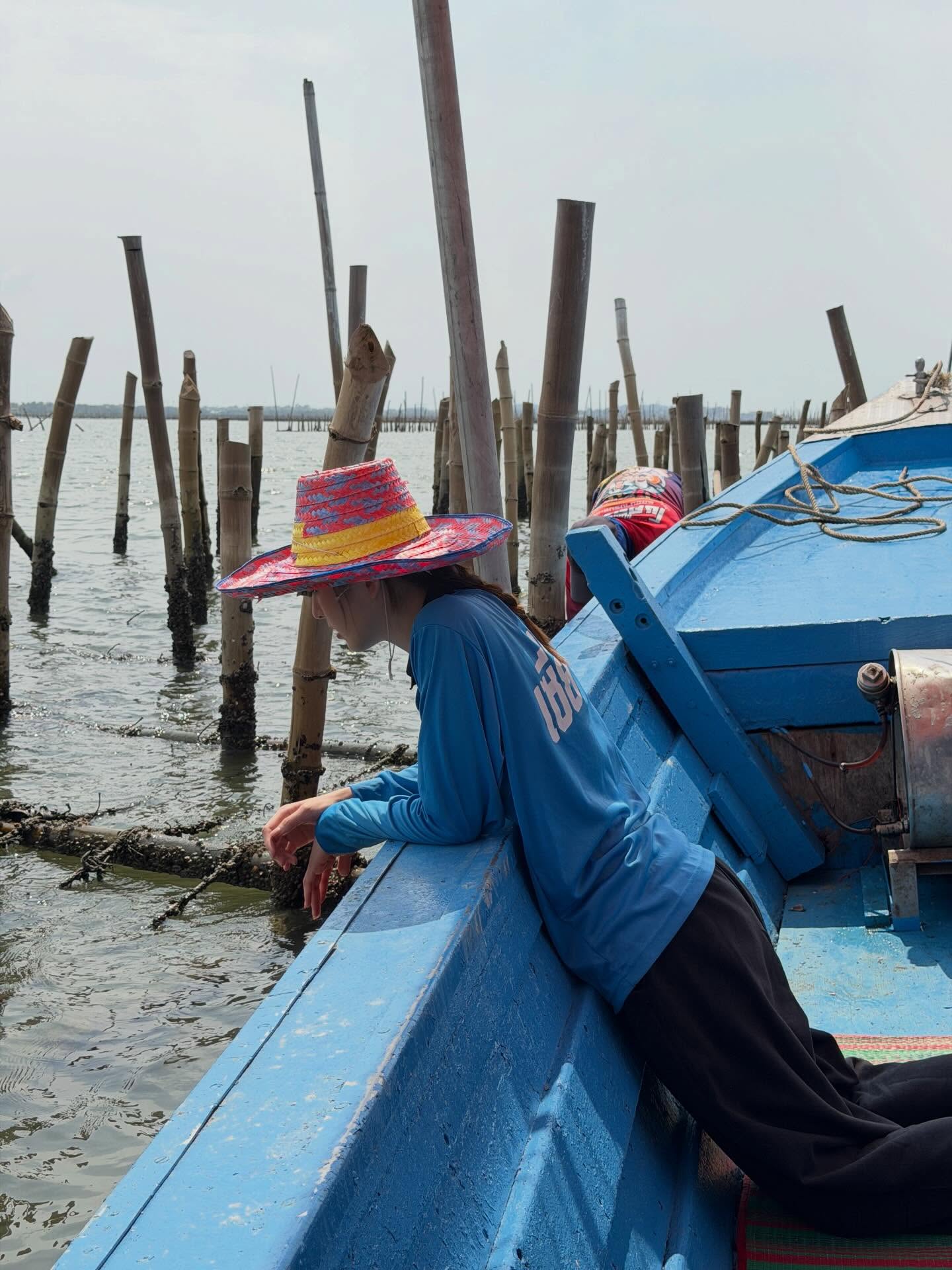 ณิชา ณัฏฐณิชา