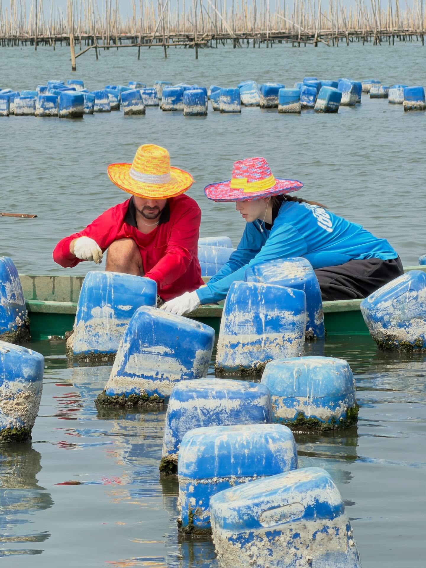 ณิชา ณัฏฐณิชา