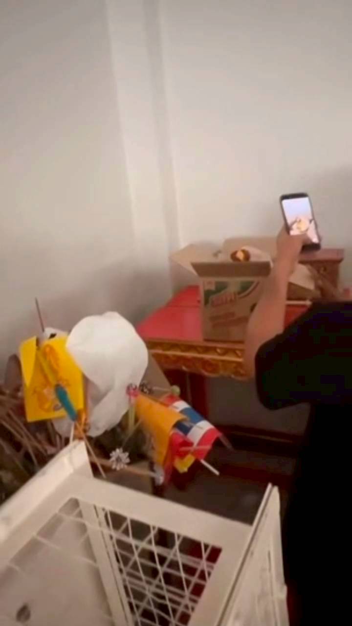 เหน่ง เหม่งจ๋าย