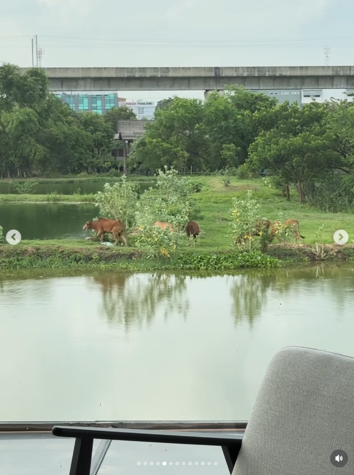 นาย ณภัทร