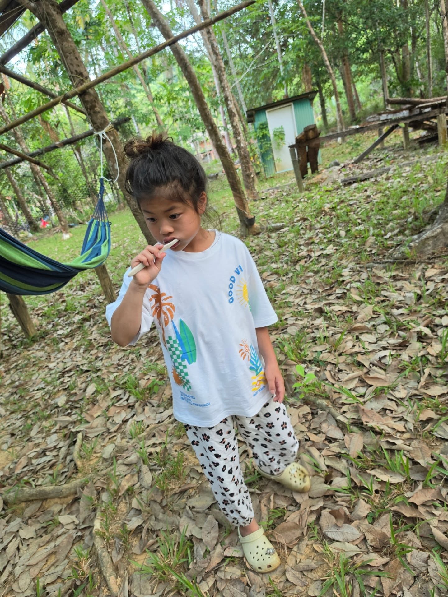 กาย ฮารุ