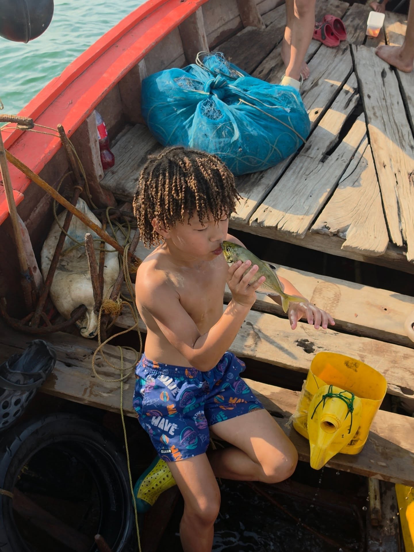 กาย ฮารุ