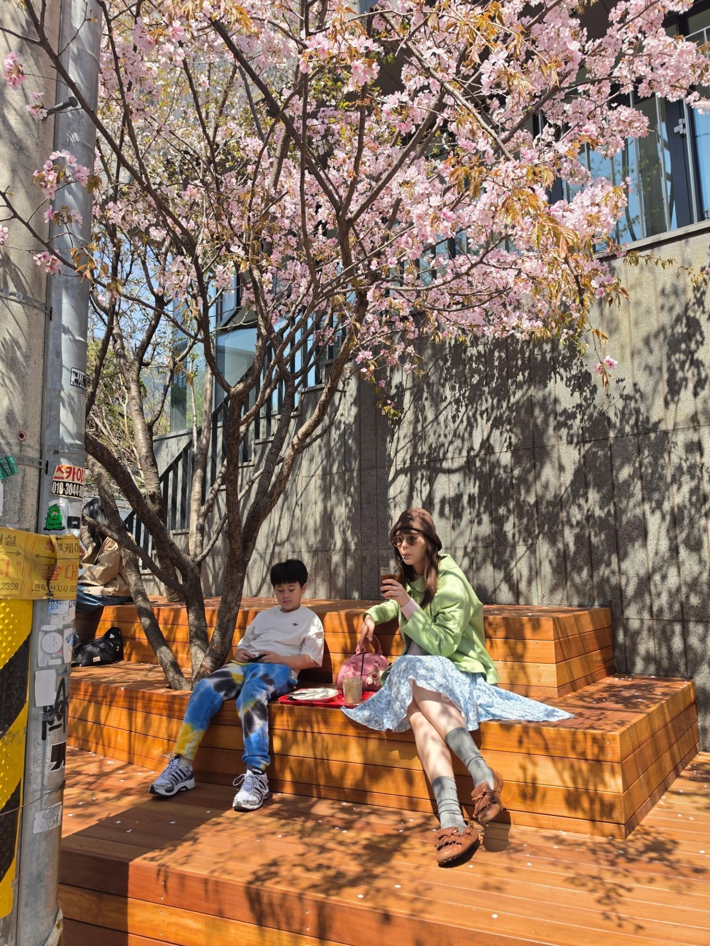 ชมพู่ อารยา