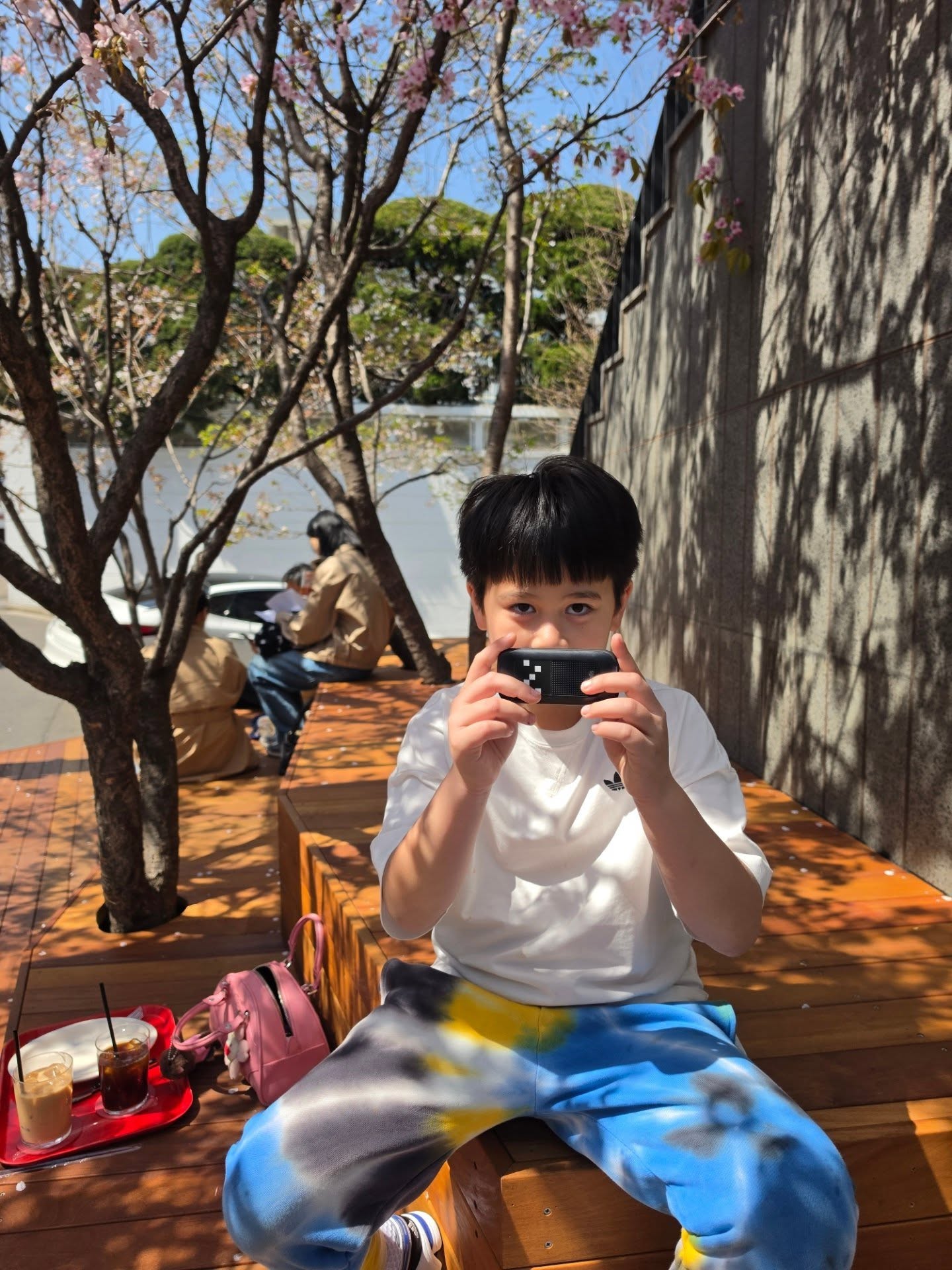 ชมพู่ อารยา