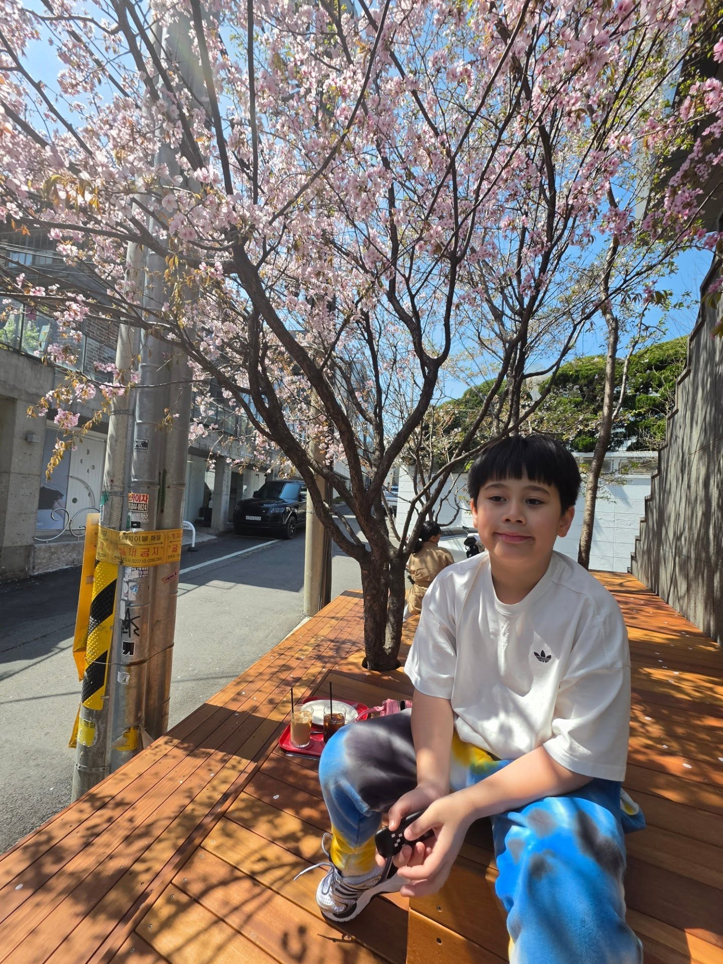 ชมพู่ อารยา