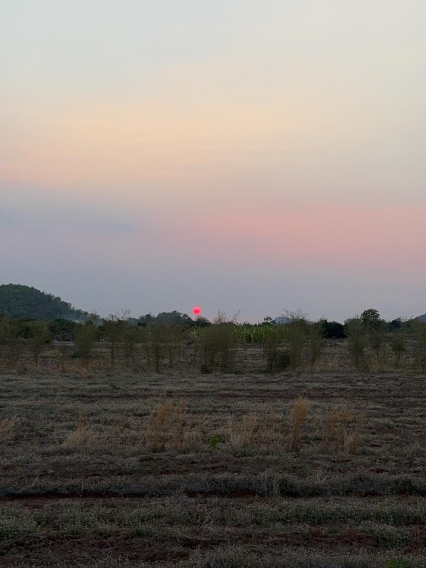 โบว์ เมลดา