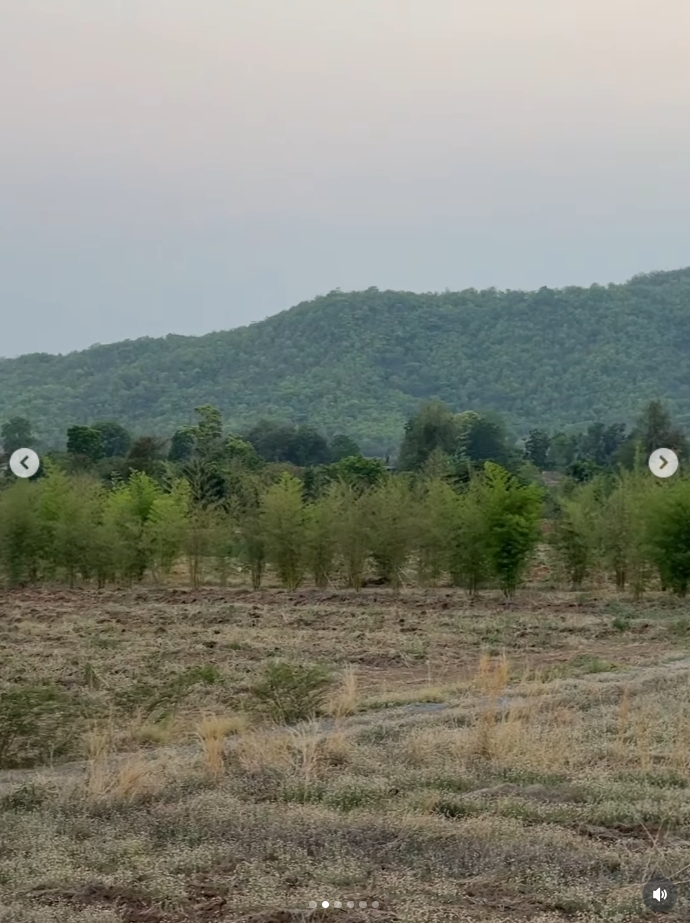 โบว์ เมลดา