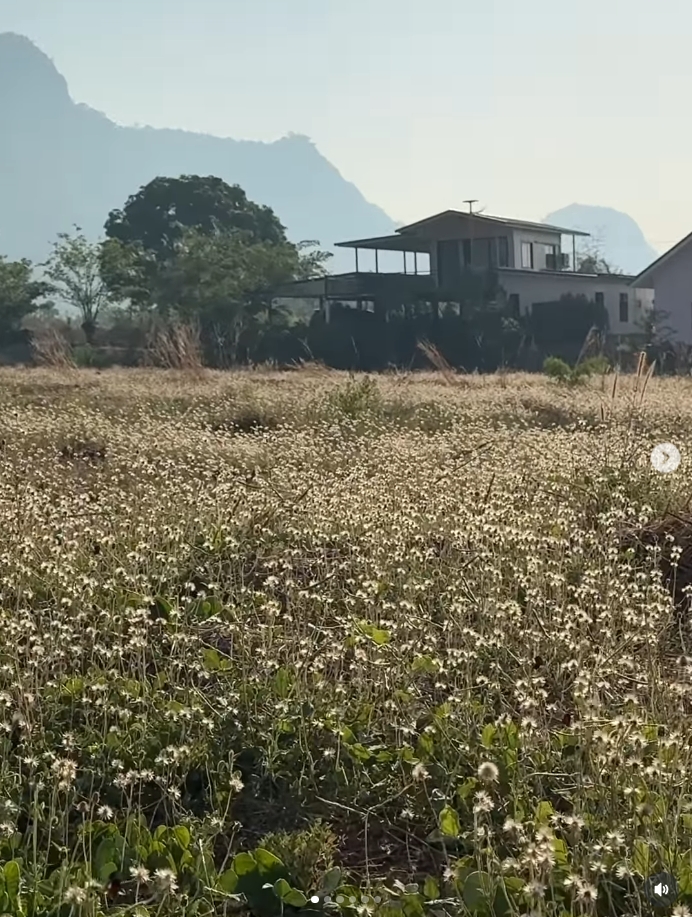 โบว์ เมลดา