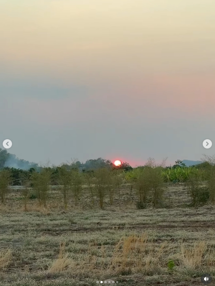 โบว์ เมลดา