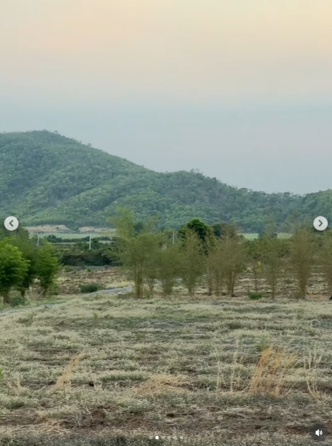 โบว์ เมลดา