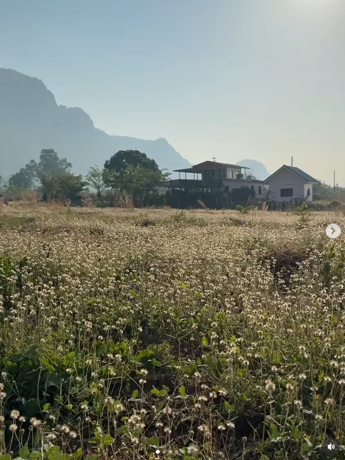 โบว์ เมลดา