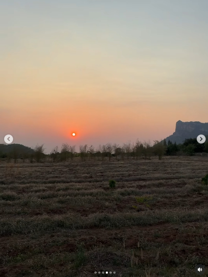 โบว์ เมลดา