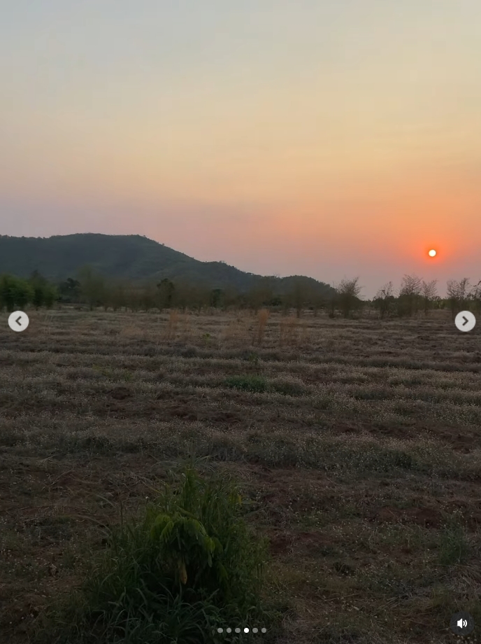 โบว์ เมลดา