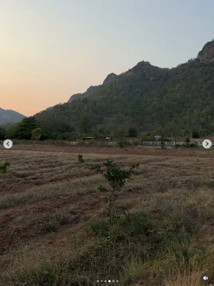 โบว์ เมลดา