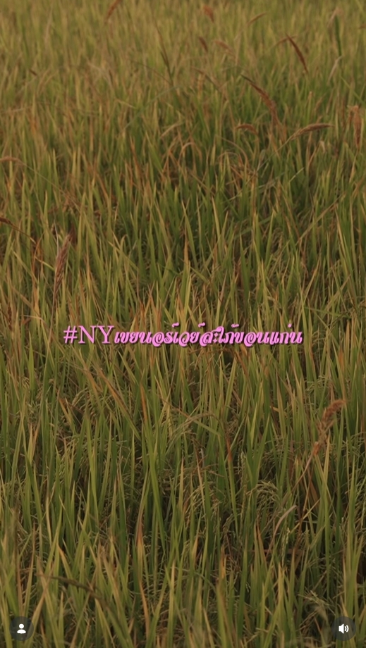 ณเดชน์-ญาญ่า