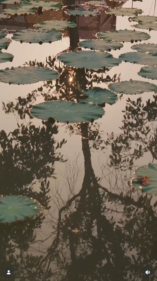 ณเดชน์-ญาญ่า