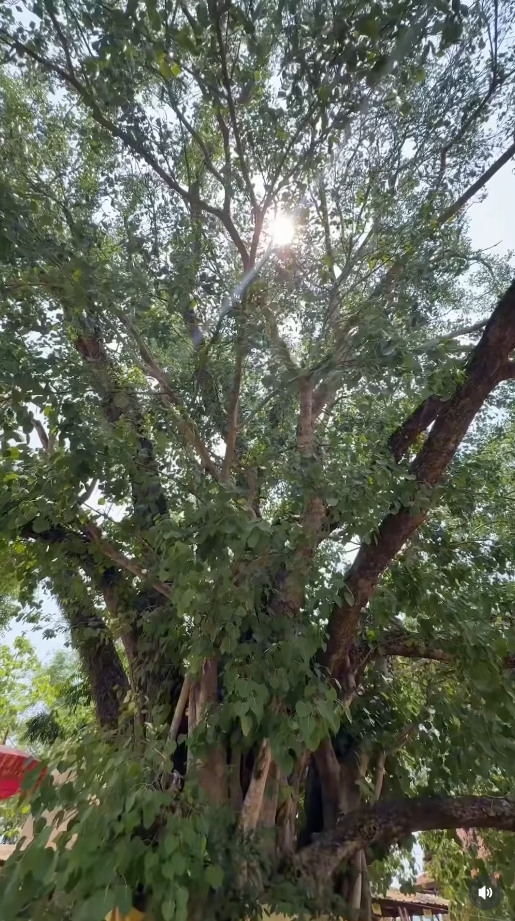 หญิง รฐา