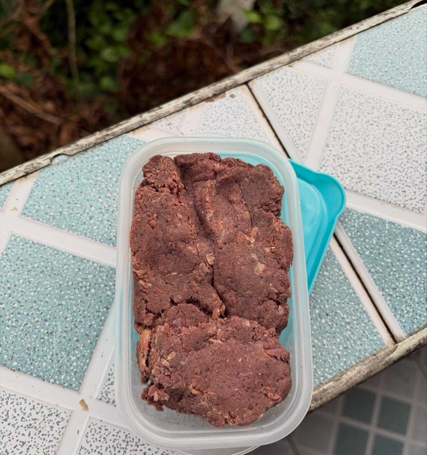 ปอย ตรีชฎา