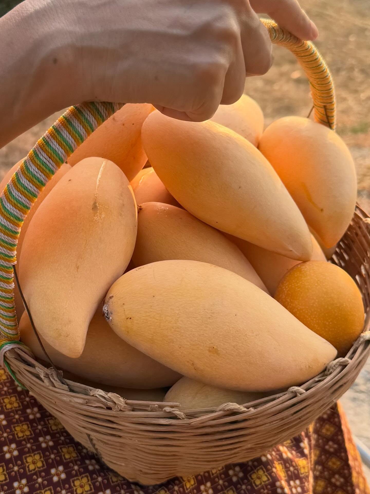 กบ ปภัสรา