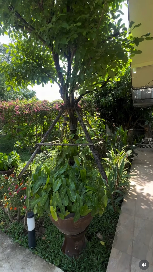 ฮาย อาภาพร