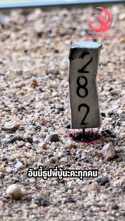 ตุ๊กกี้ สุดารัตน์