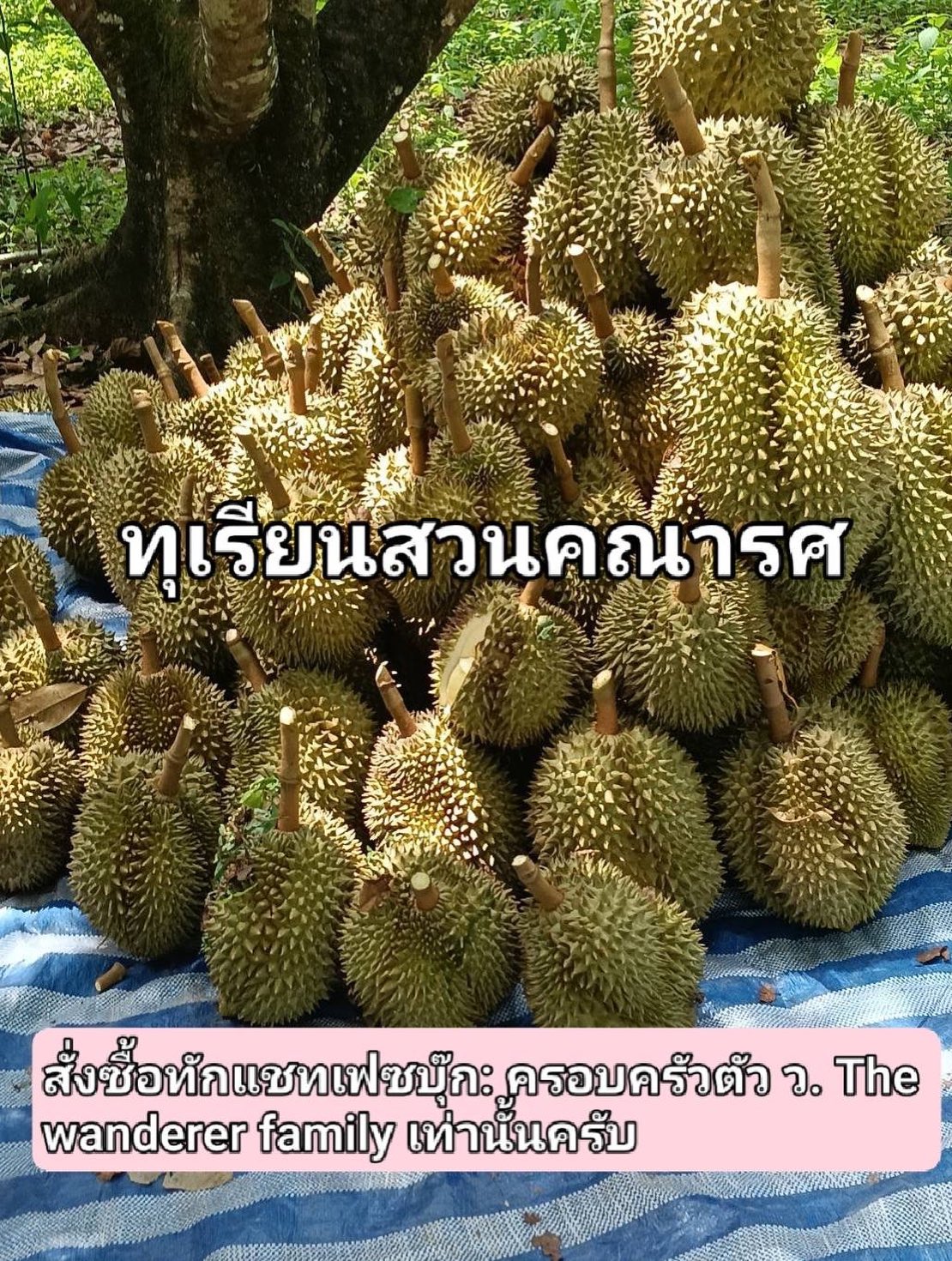 เวียร์ ศุกลวัฒน์