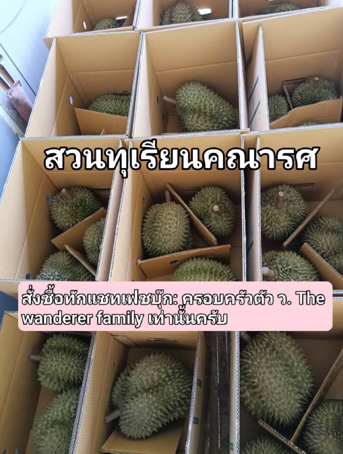 เวียร์ ศุกลวัฒน์