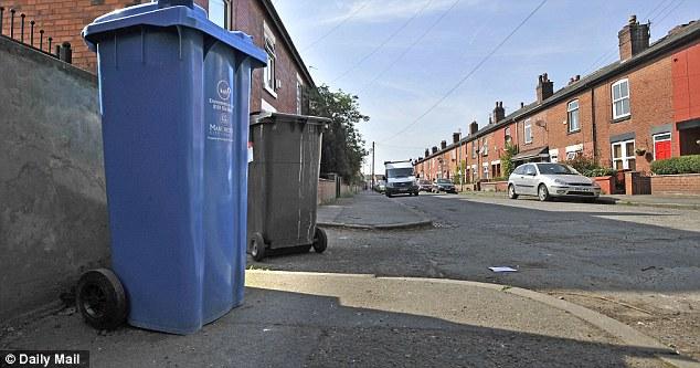 ลูกแกะในถังขยะ