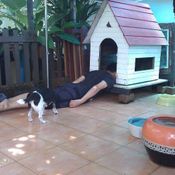 โอ อนุชิต ทำ planking