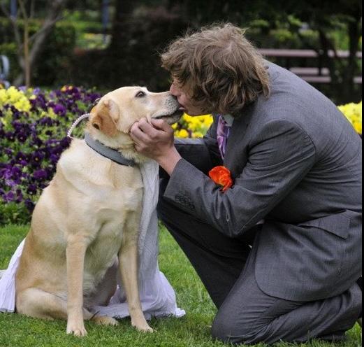 แต่งงานกับสุนัข